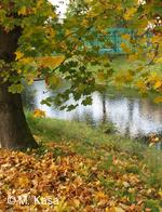 Petřvald