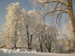 luboměřská zima