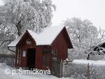 sněhová krása
